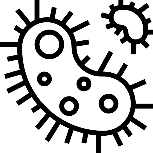 Bakterien